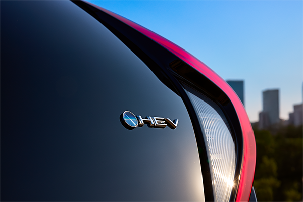 Untitled-1_0007_AYX3018a_26